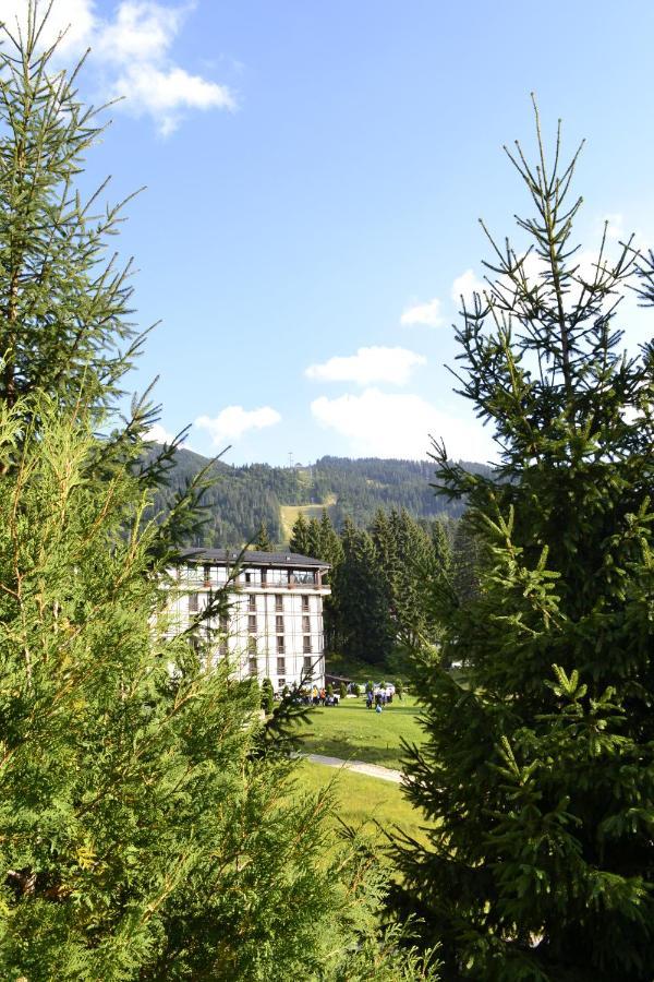 Hotel Casa Vinga - Restaurant&Jacuzzi Poiana Brasov Esterno foto